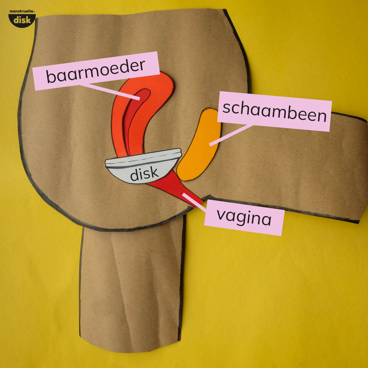 hoe hoog je een menstruatiedisk draag